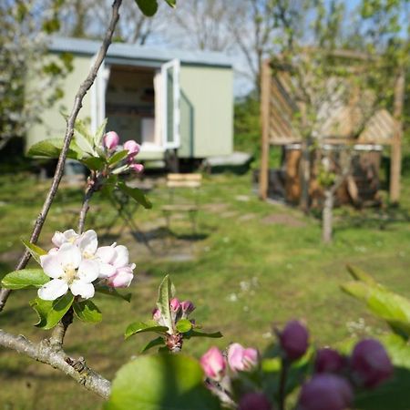 Hillcrest Hut Lägenhet Tenby Exteriör bild