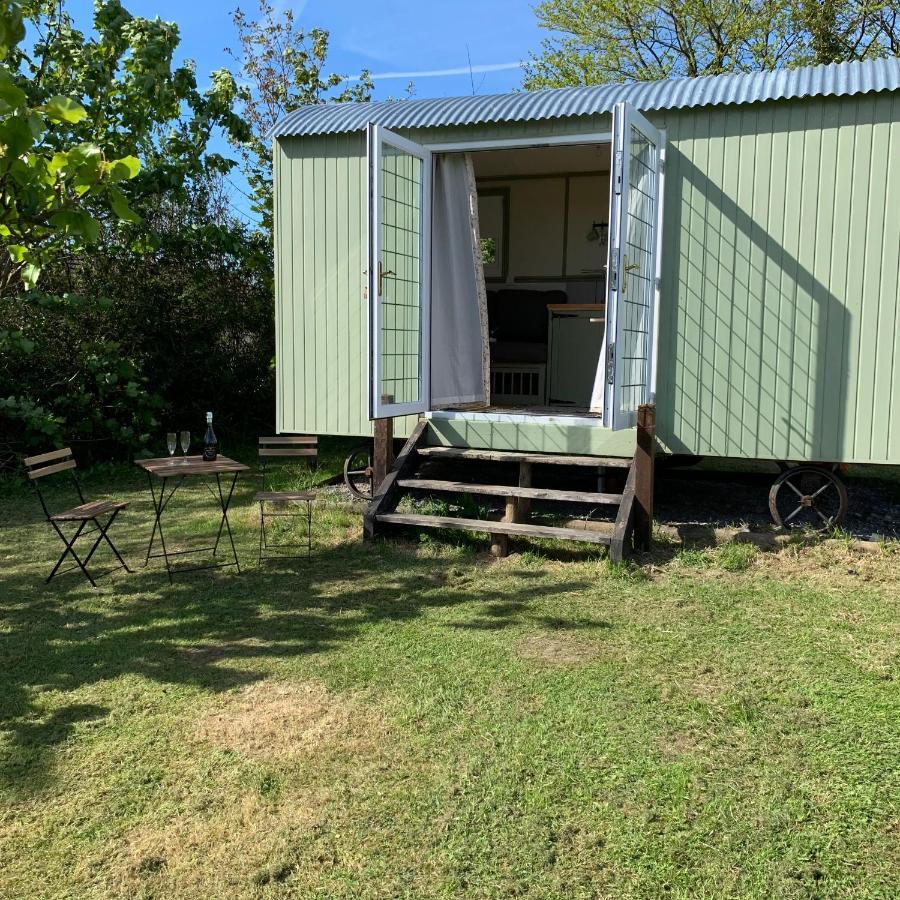 Hillcrest Hut Lägenhet Tenby Exteriör bild