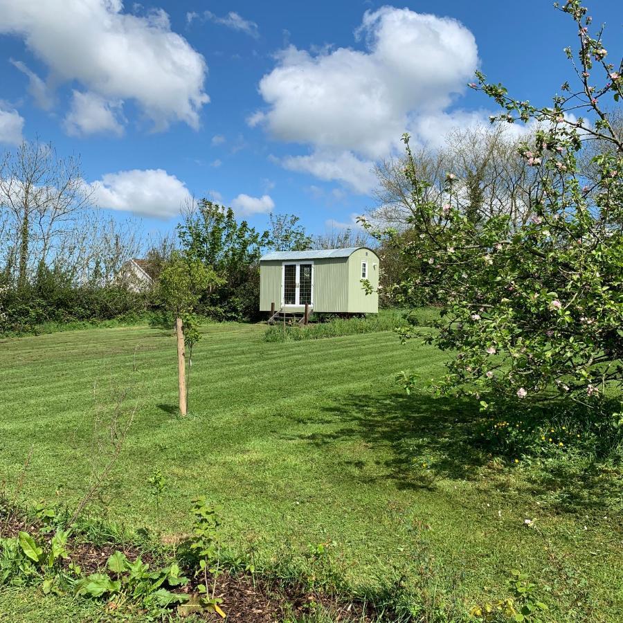 Hillcrest Hut Lägenhet Tenby Exteriör bild